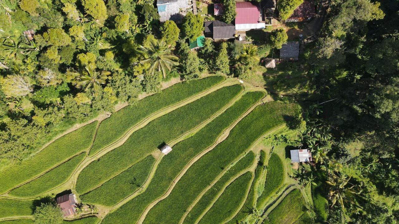Friendly Homestay Lemukih Singaraja  Ngoại thất bức ảnh