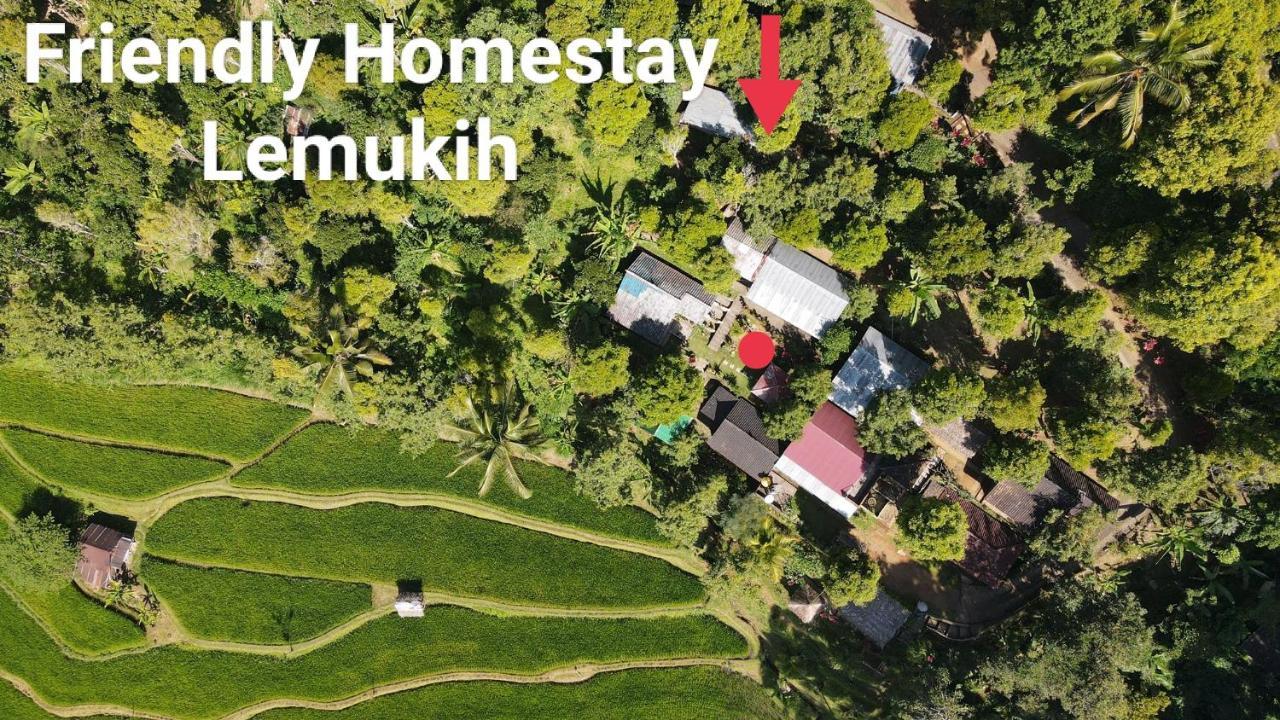 Friendly Homestay Lemukih Singaraja  Ngoại thất bức ảnh